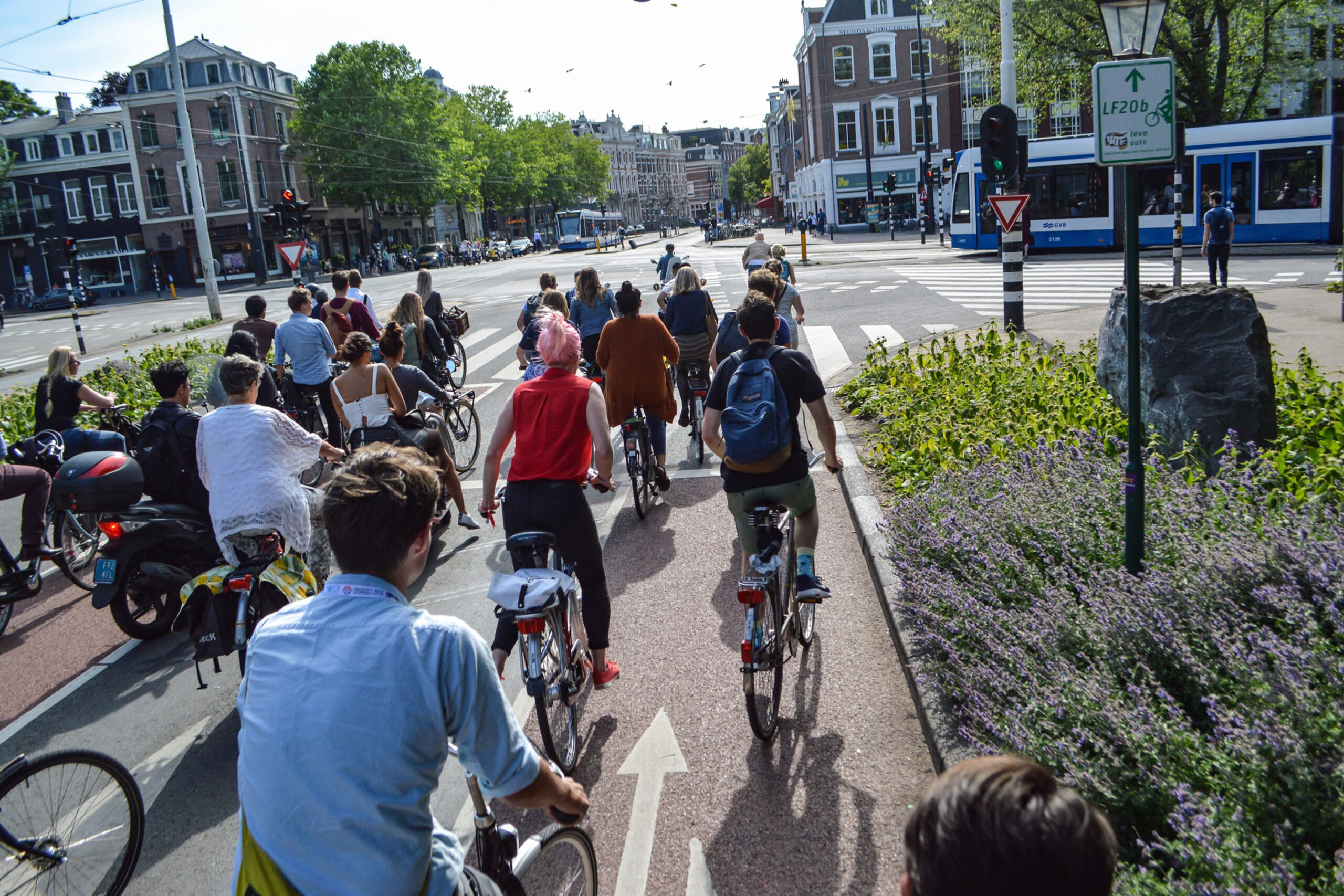 Dinámica Mediador Arne Por qué hay tantas bicicletas en los Países Bajos? - El Observador Holandés