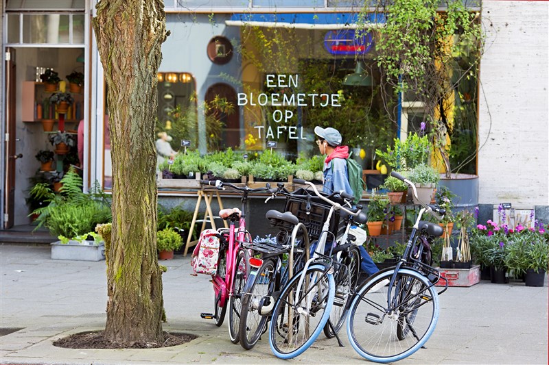 bicicletas Rotterdam Países Bajos