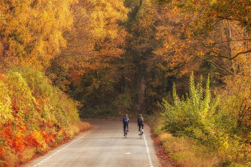 ciclismo feliz países bajos